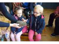 Smysly zvířat - společně se ZŠ