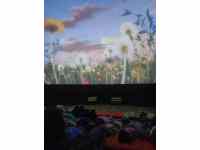 život stromů - promítání