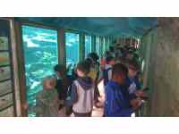 Botanická zahrada v Praze - líhnutí motýlů