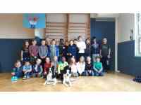 Výcvik  a výchova psa