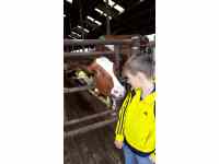 Kravín ve Svatbíně - exkurze 14.6.