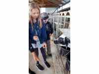 Kravín ve Svatbíně - exkurze 14.6. - teletník