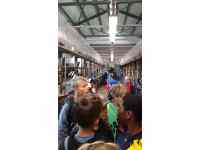 Kravín ve Svatbíně - exkurze 14.6. - dojírna